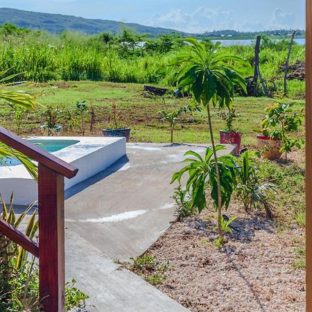 Cashaw Cabin - Private Retreat With A Pool Treasure Beach Exteriör bild