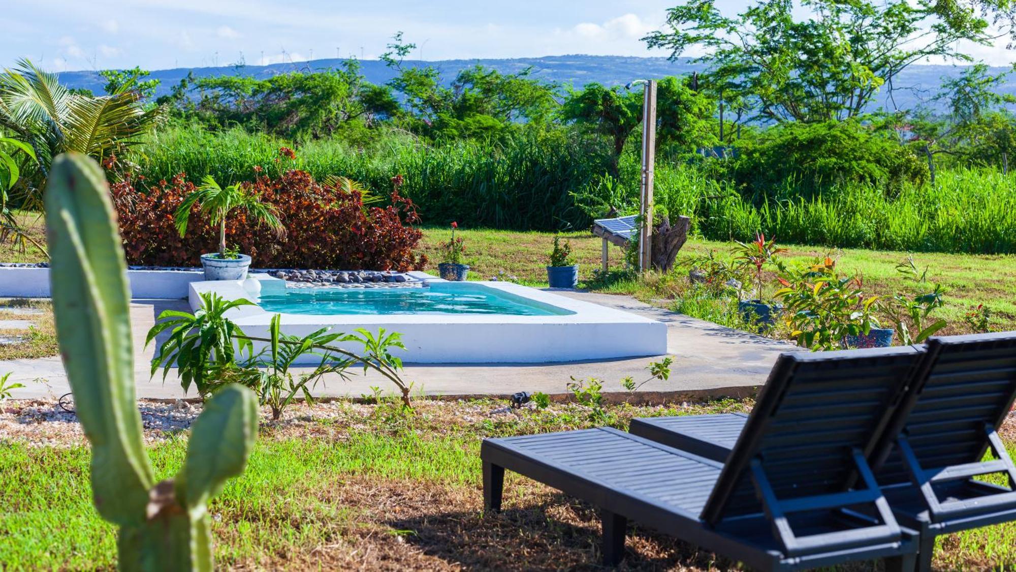 Cashaw Cabin - Private Retreat With A Pool Treasure Beach Exteriör bild